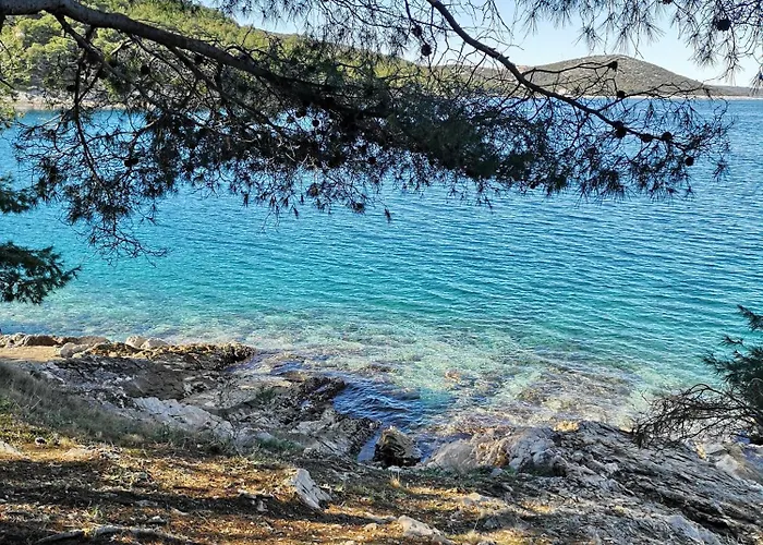 Long Island Luxury Residence, Dugi Otok-private Parking,next To Daire *